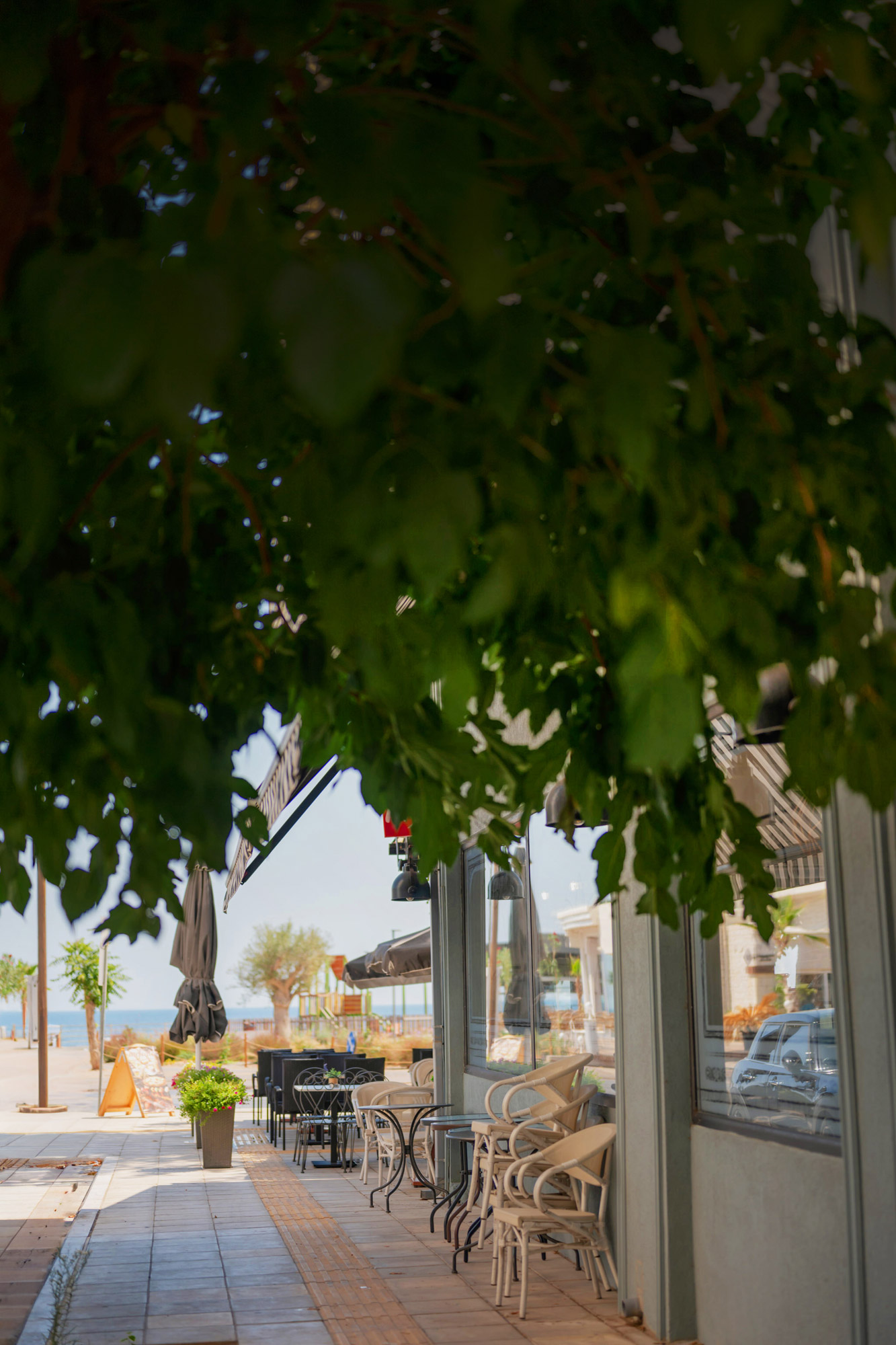 Aegean Nest Your seaside escape